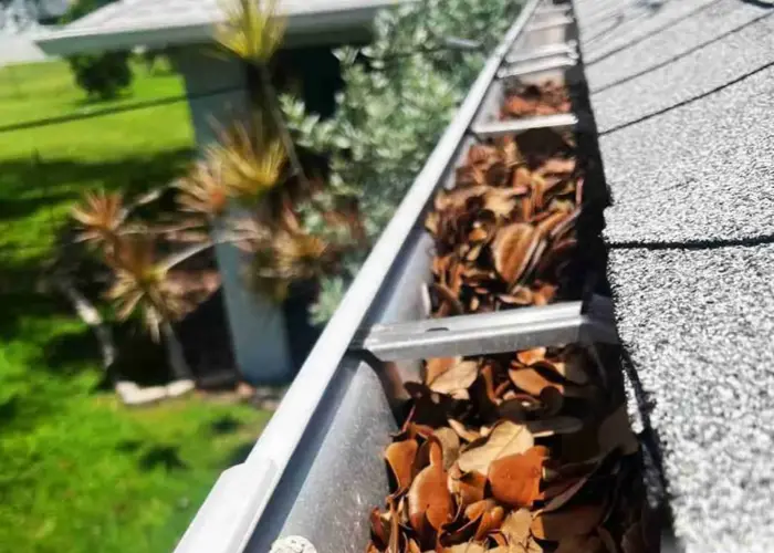 Gutter Cleaning Annapolis MD home page