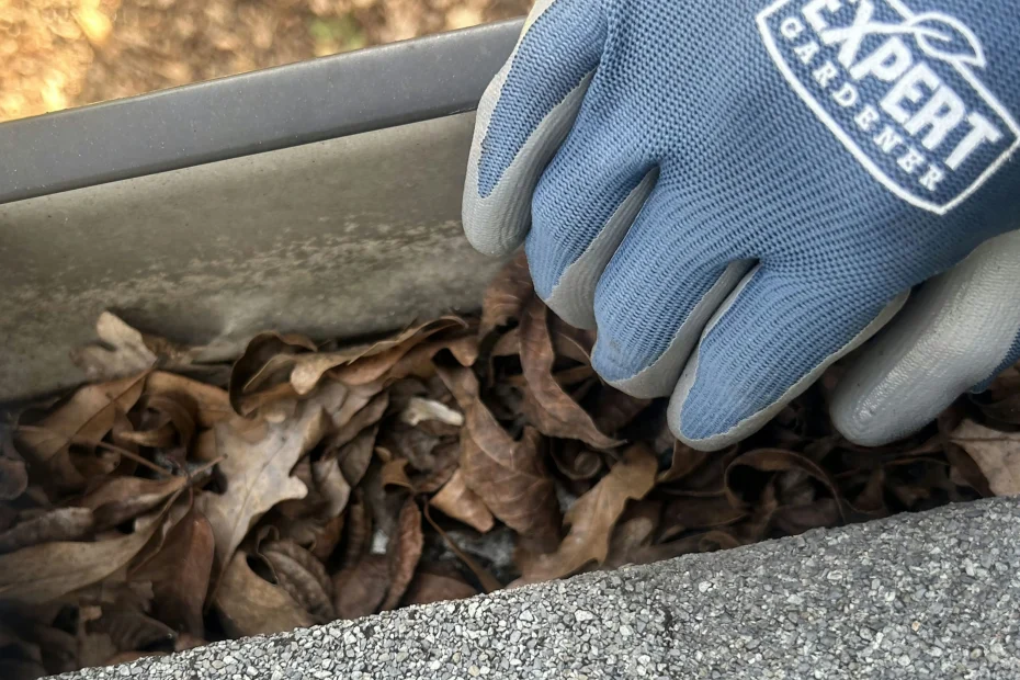 Gutter Cleaning Annapolis MD