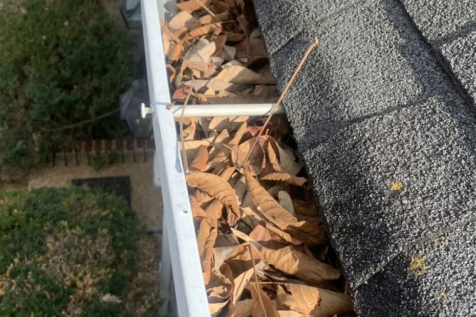 Gutter Cleaning Annapolis MD