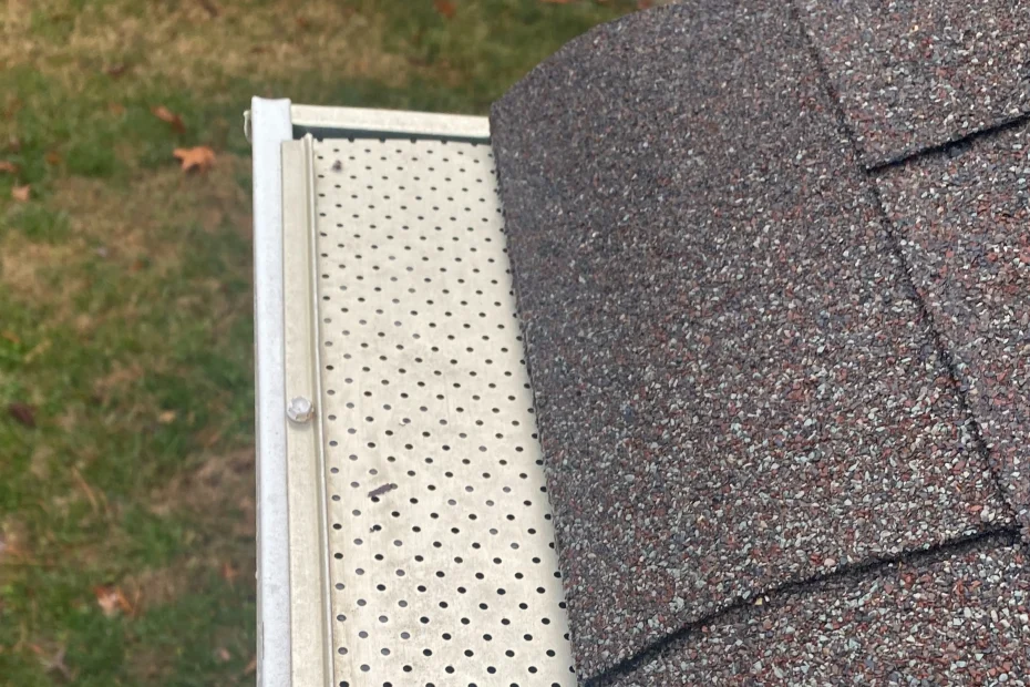 Gutter Cleaning Annapolis MD